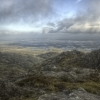 C�o�n�n�e�m�a�r�a� �P�e�a�t� �B�o�g�s���. Keywords: Andy Morley;